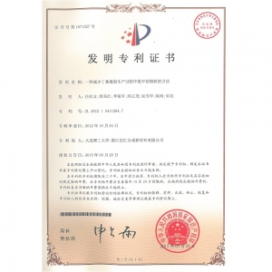 Invention patent
