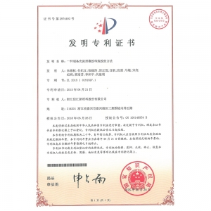 Invention patent